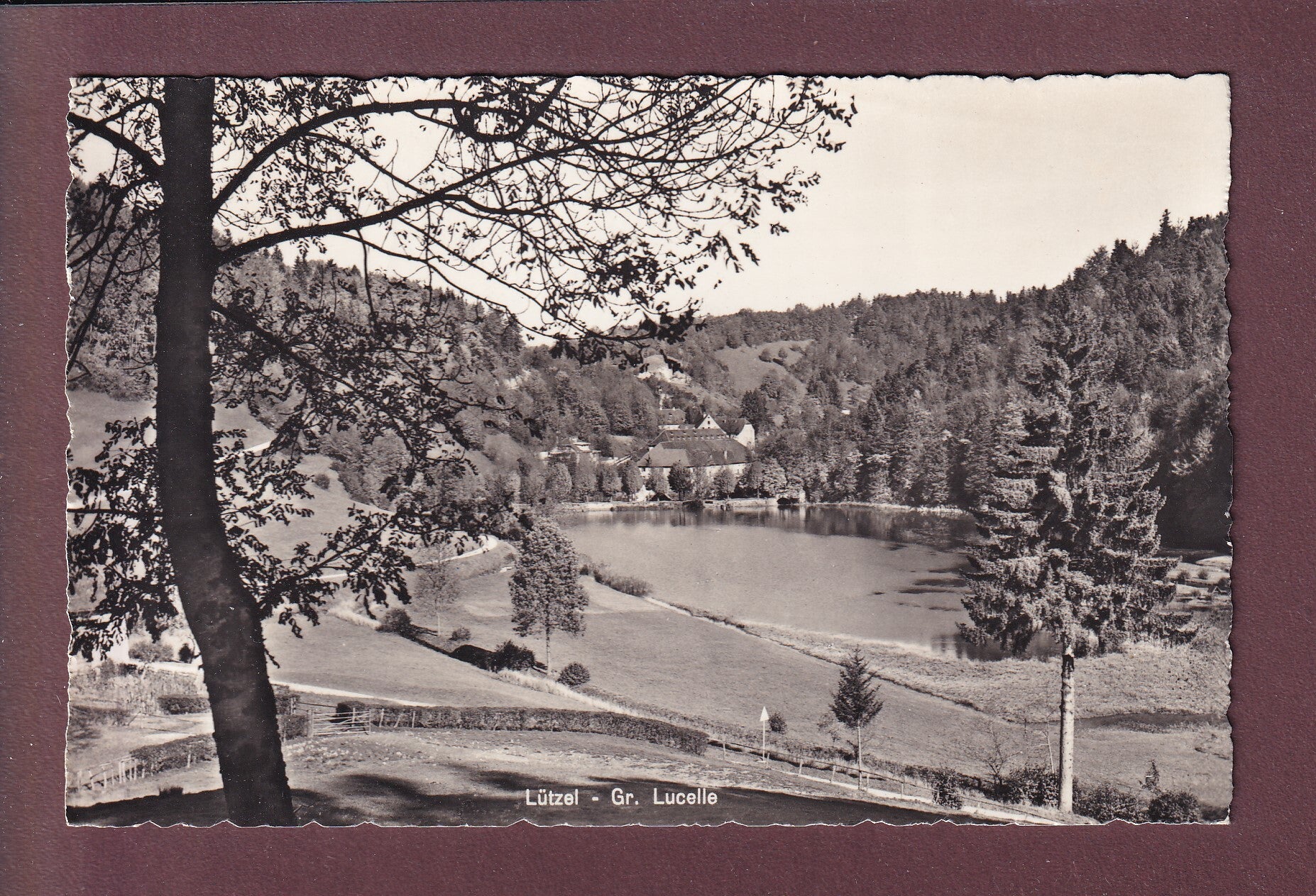 LÜTZEL - LUCELLE - 1965