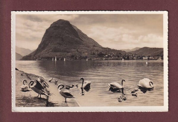 LUGANO - Cigni - 1938