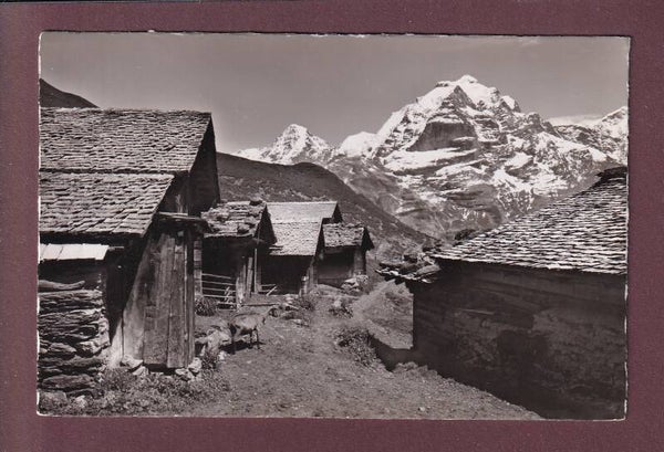 SCHILTALP ob Mürren - 1950