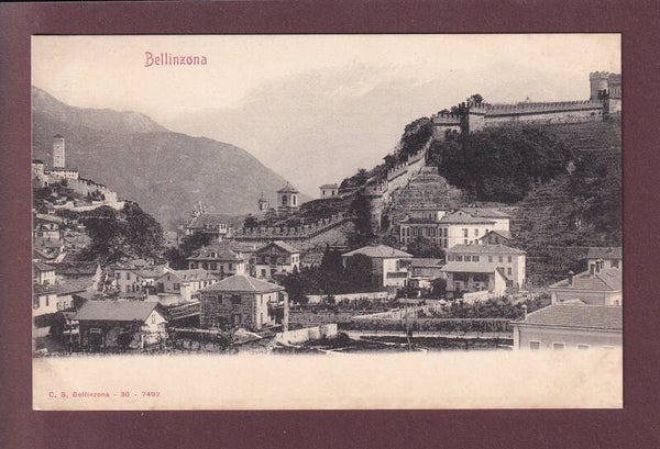 BELLINZONA - Teilansicht