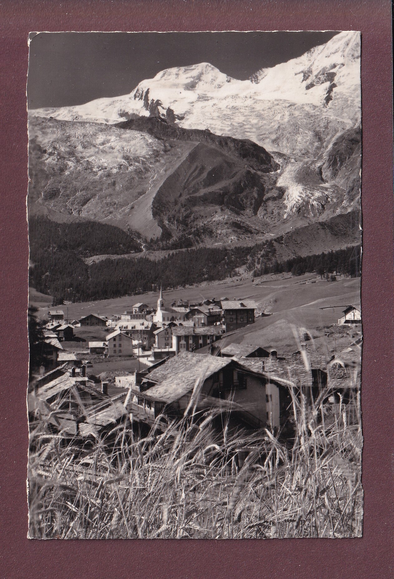 SAAS-FEE - Alphubel - 1954