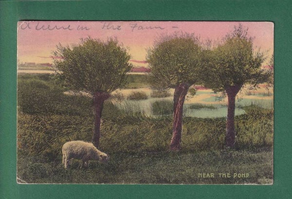 USA - NEAR THE POND - 1907