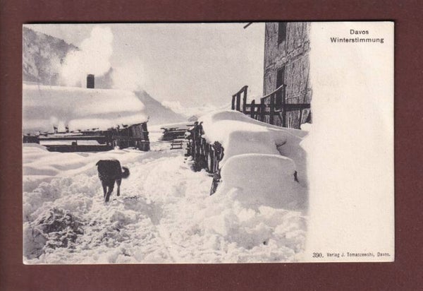 DAVOS - Winterstimmung - hund -  - 1925 // Falte //
