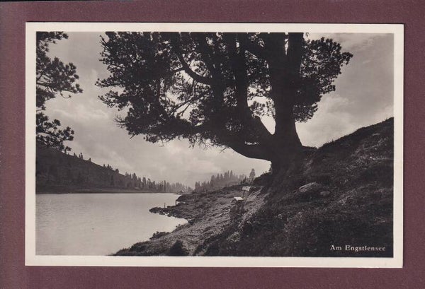 Am ENGSTLENSEE