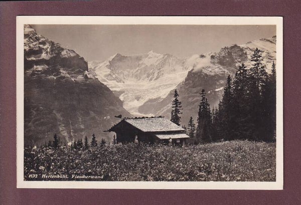 HERTENBÜHL - Fiescherwand