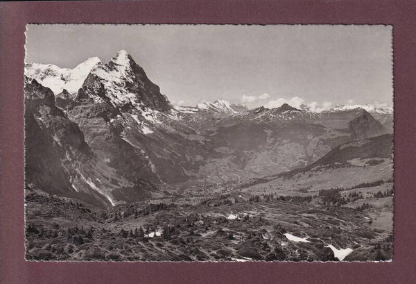 GROSSE SCHEIDEGG - Ausblick nach Grindelwald