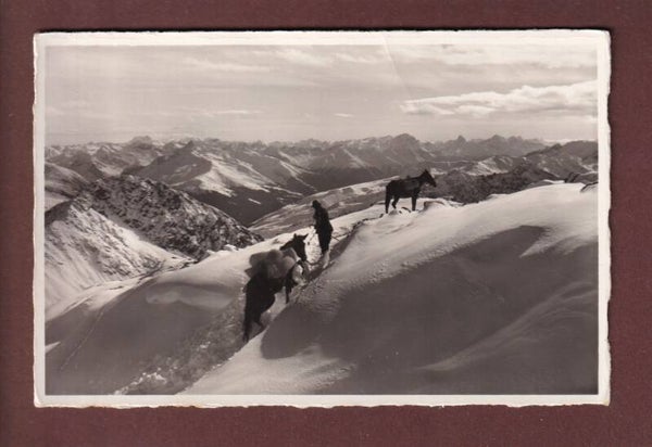 Säumer nach der WEISSFLUHHÜTTE - 1939 // Falte //