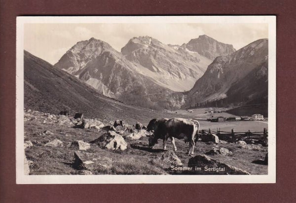 Sommer im SERTIGTAL - Kuh - 1930
