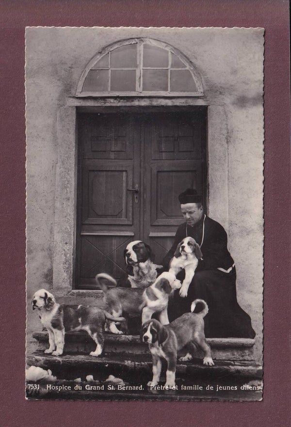 GRAND-SAINT-BERNARD - Prêtre et chiens - 1941