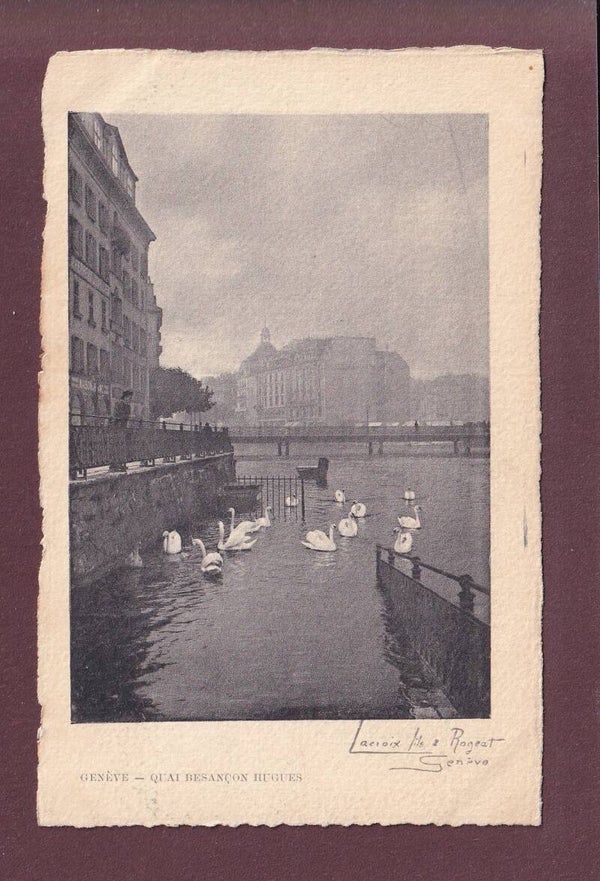 GENEVE - Cygnes et Quai Besançon Hugues - Lacroix