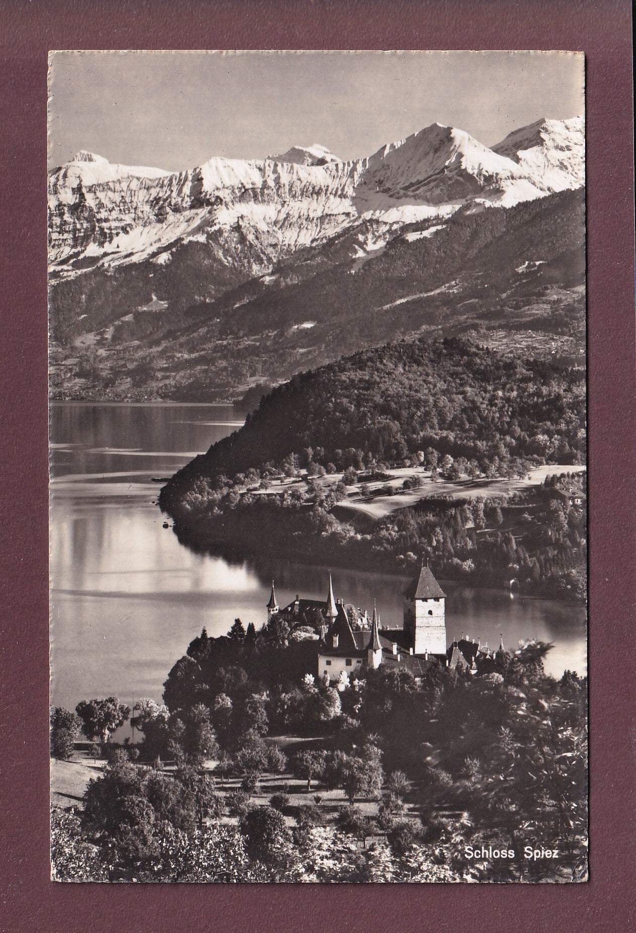 SCHLOSS SPIEZ