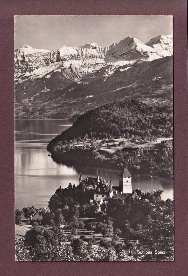 SCHLOSS SPIEZ
