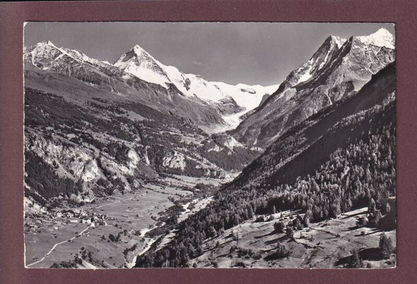 EVOLENE - Dent Blanche
