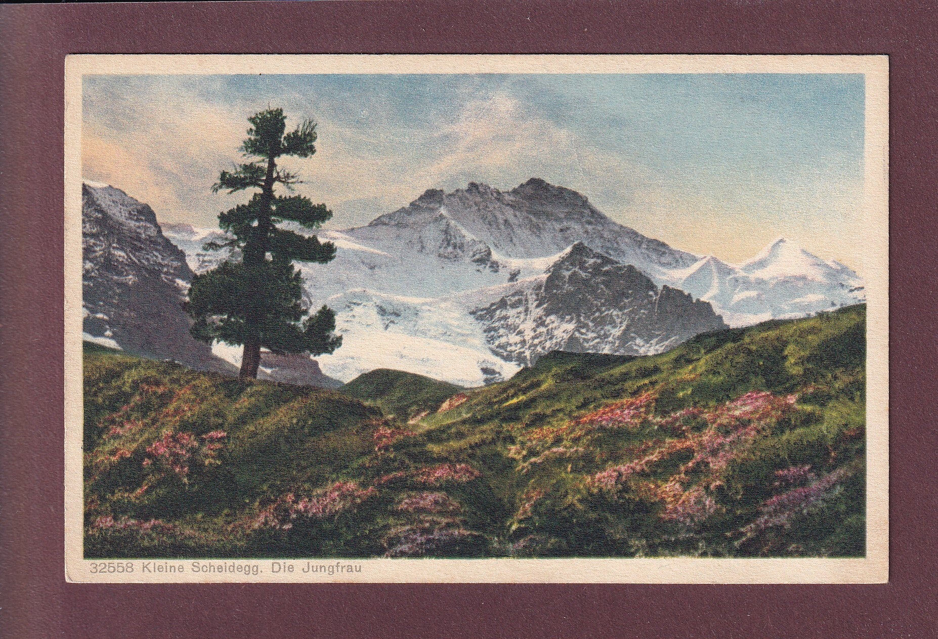 KLEINE SCHEIDEGG - Jungfrau