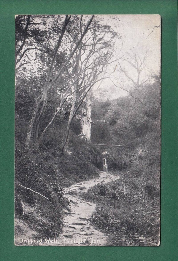 FAIRLIGHT GLEN - Dripping Well - 1906