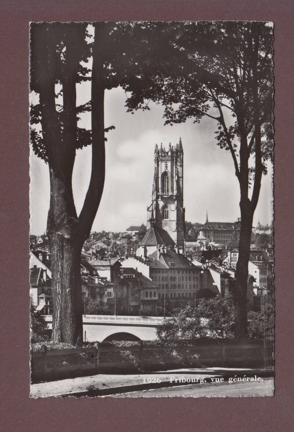 FRIBOURG - Cathédrale