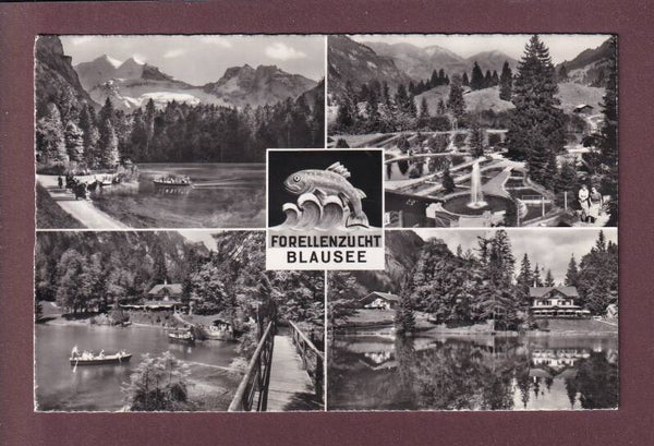BLAUSEE - Forellenzucht - 4 Bilder - 1966