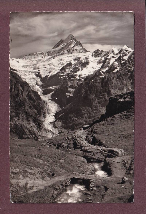 GRINDELWALD - Bachalp - 1953
