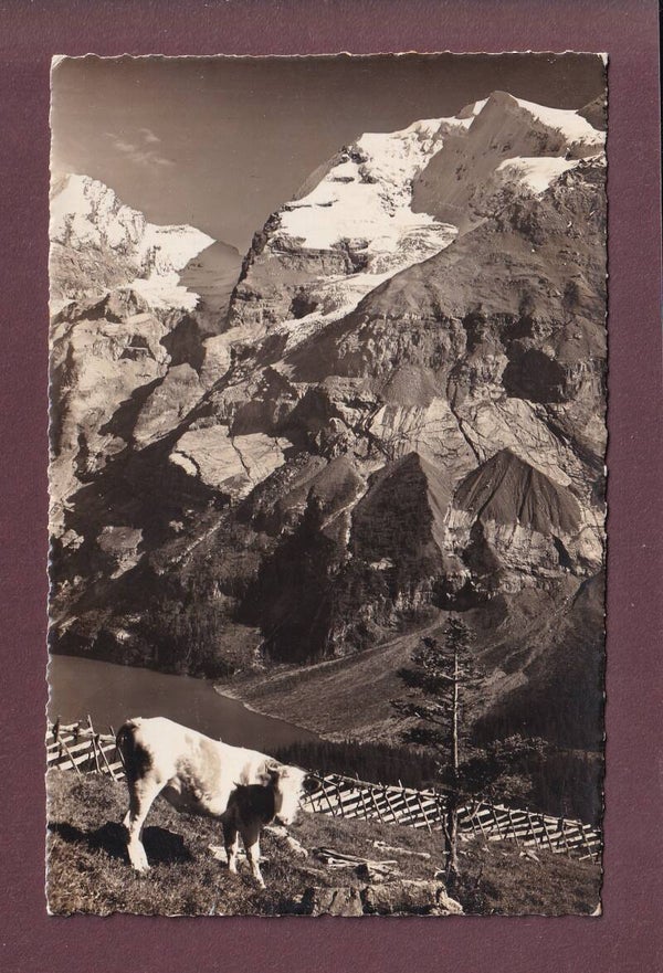 Groppi mit DOLDENHORN - Oeschinensee - 1937