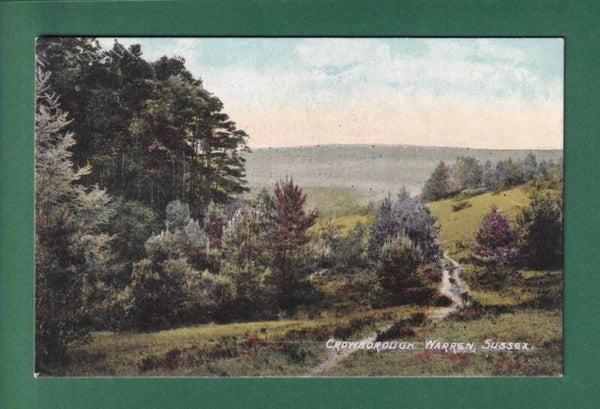 CROWBOROUGH WARREN - Sussex