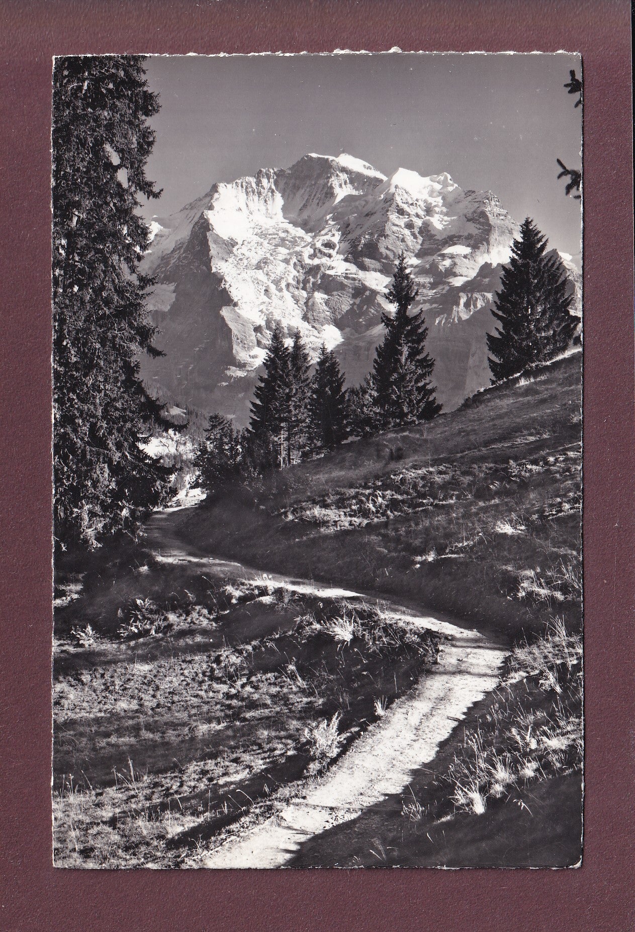 Bei MÜRREN - Am Weg nach Grütschalp