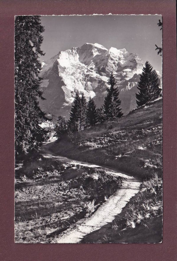 Bei MÜRREN - Am Weg nach Grütschalp