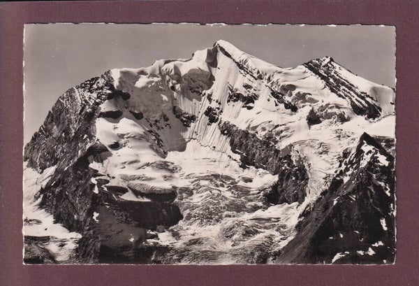 DOLDENHORN