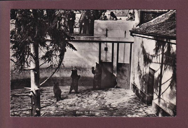 BERN - Bärengraben - 1947