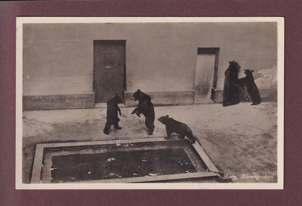BERN - Bärengraben - 1936