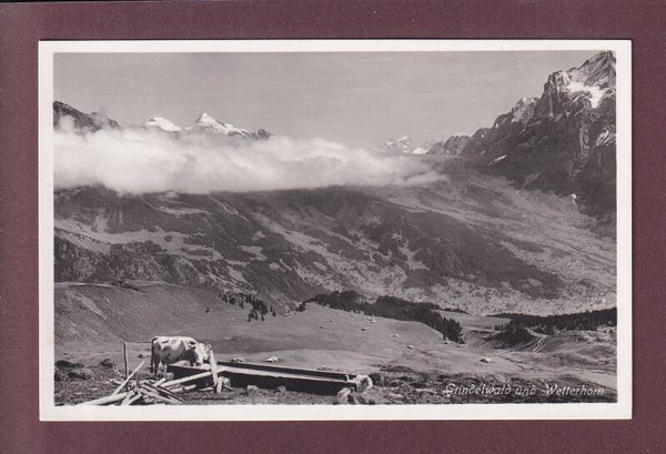 GRINDELWALD - Wetterhorn