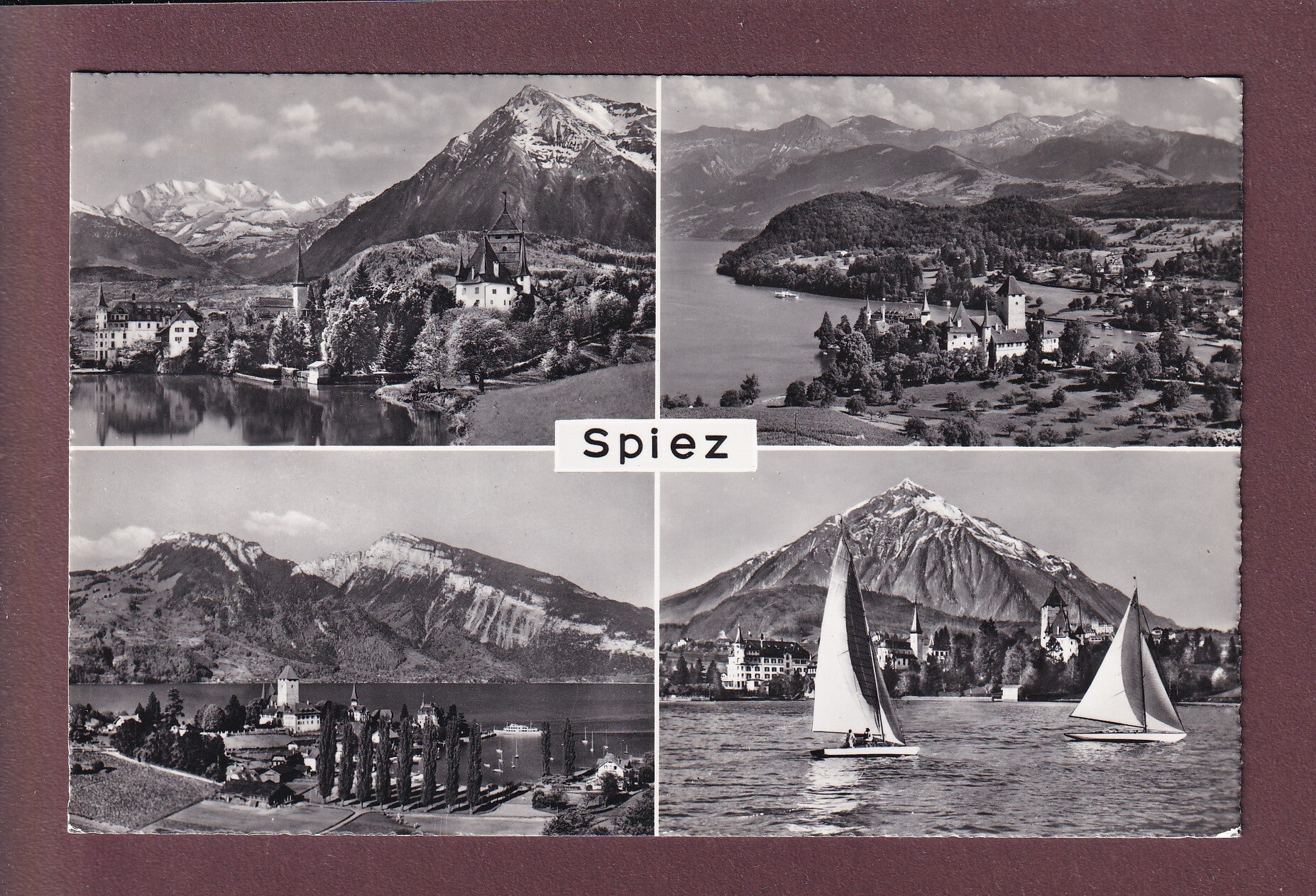 SPIEZ - 4 Bilder