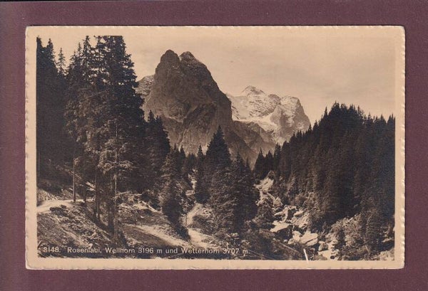 ROSENLAUI - Wellhorn - Wetterhorn - 1918