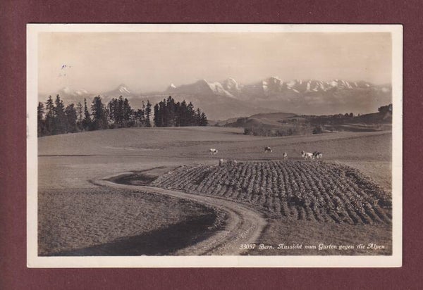 BERN - Aussicht vom Gurten - 1928