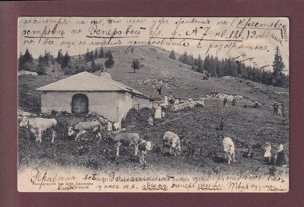 Chalet et Sommet de la DENT DE VAULION - Vaches - 1906