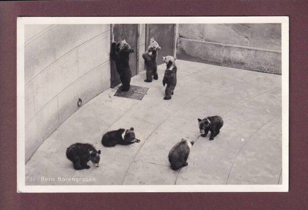 BERN - Bärengraben - 1943