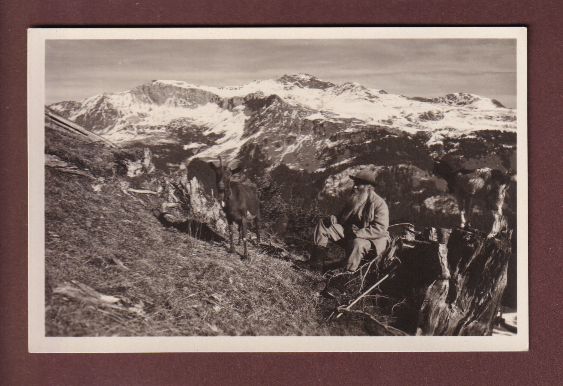 Auf der ALP CONTERS-SCHWENDI