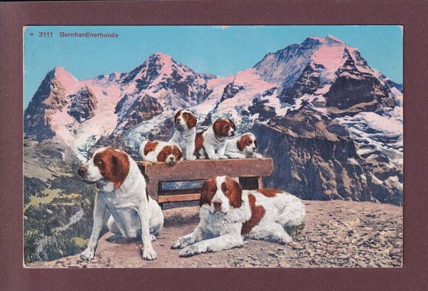 BERNHARDINERHUNDE - Eiger - Mönch - Jungfrau - 1938