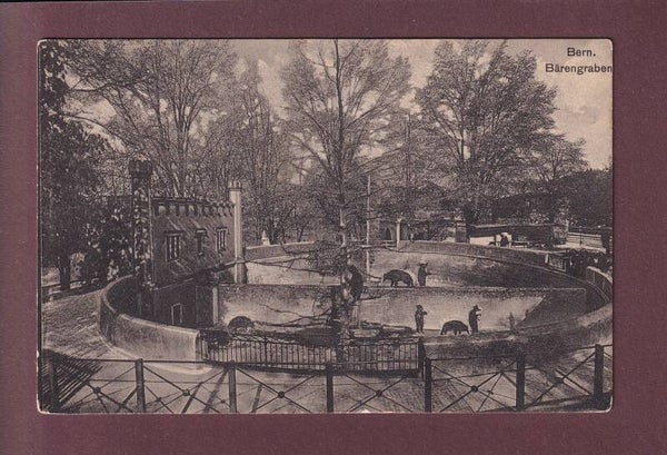 BERN - Bärengraben