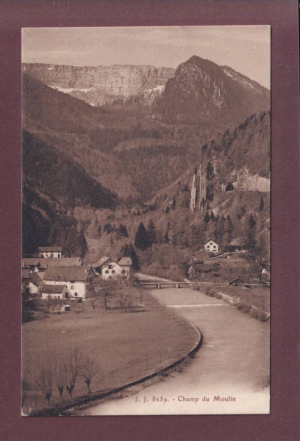CHAMP DU MOULIN