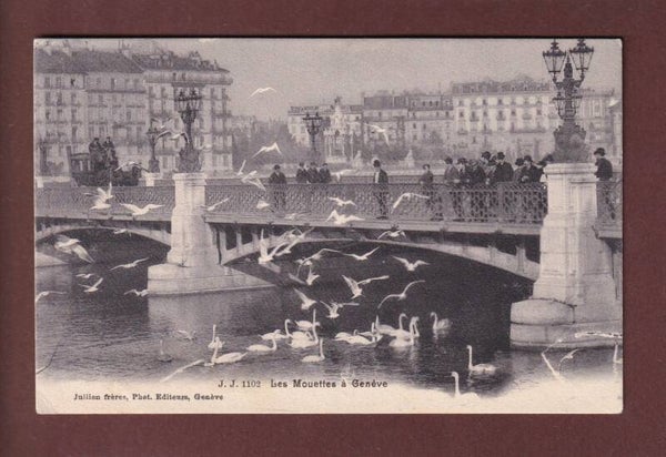 GENEVE - Les Mouettes - Attelage - 1907