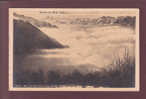 CAUX - Mer de brouillard