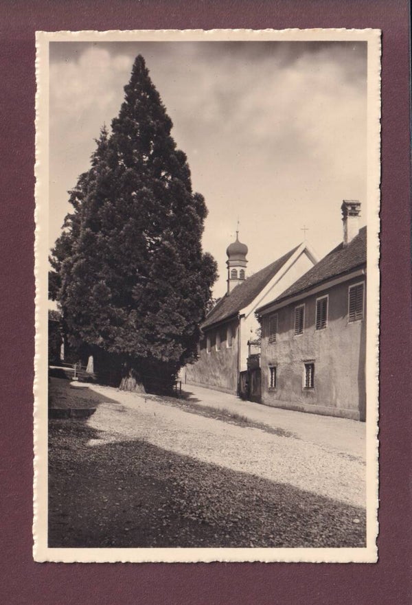 WIL - Klosterweg
