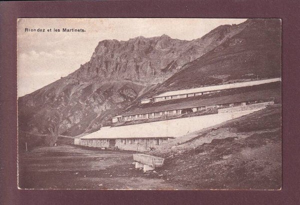 RIONDAZ et LES MARTINETS