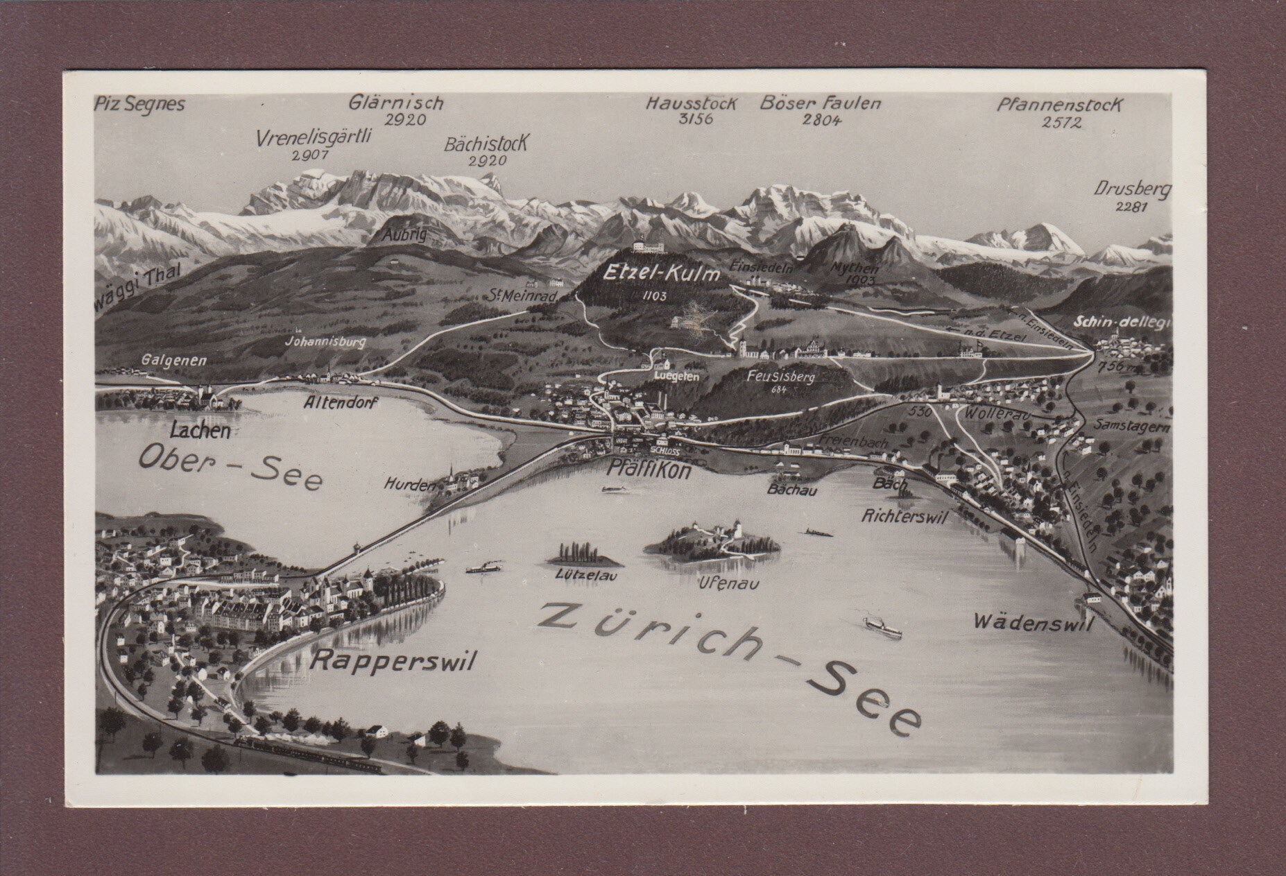 RAPPERSWIL und Umgebung - Vogelschau