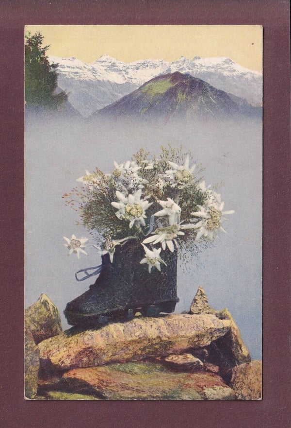 BERG / MONTAGNE - Edelweiss - 1920