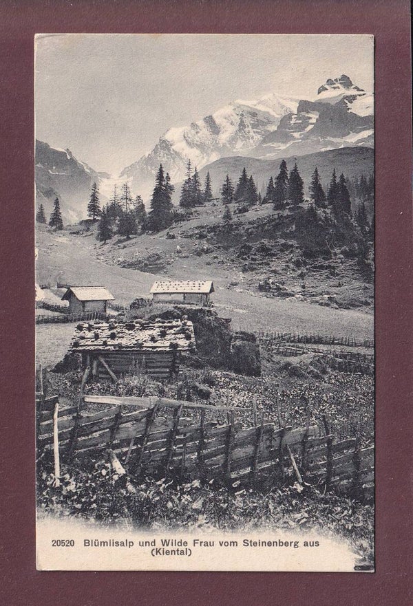 STEINENBERG (Kiental) - Blümlisalp - 1918