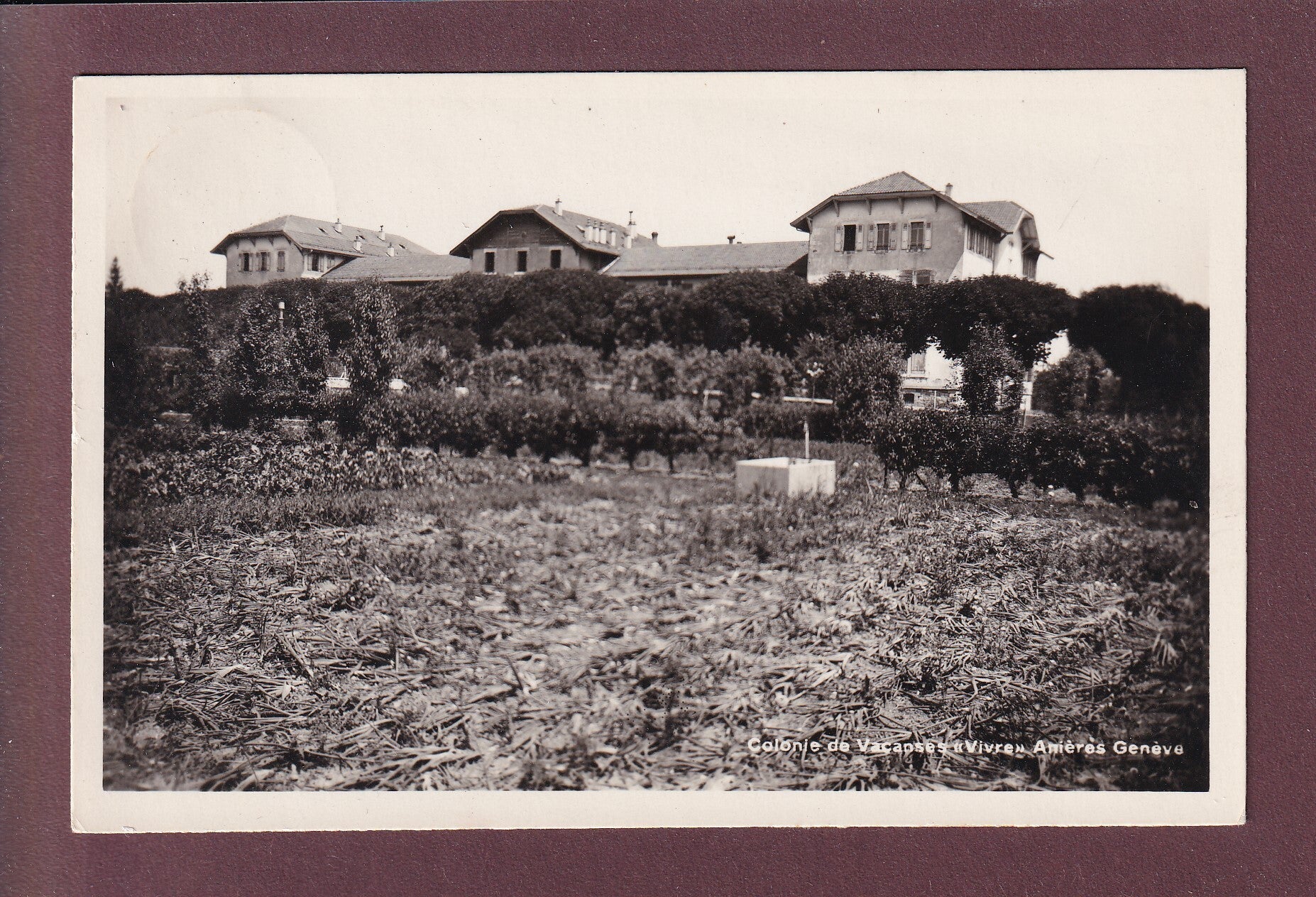 ANIERES GENEVE - Colonie de vacances Vivre - 1941