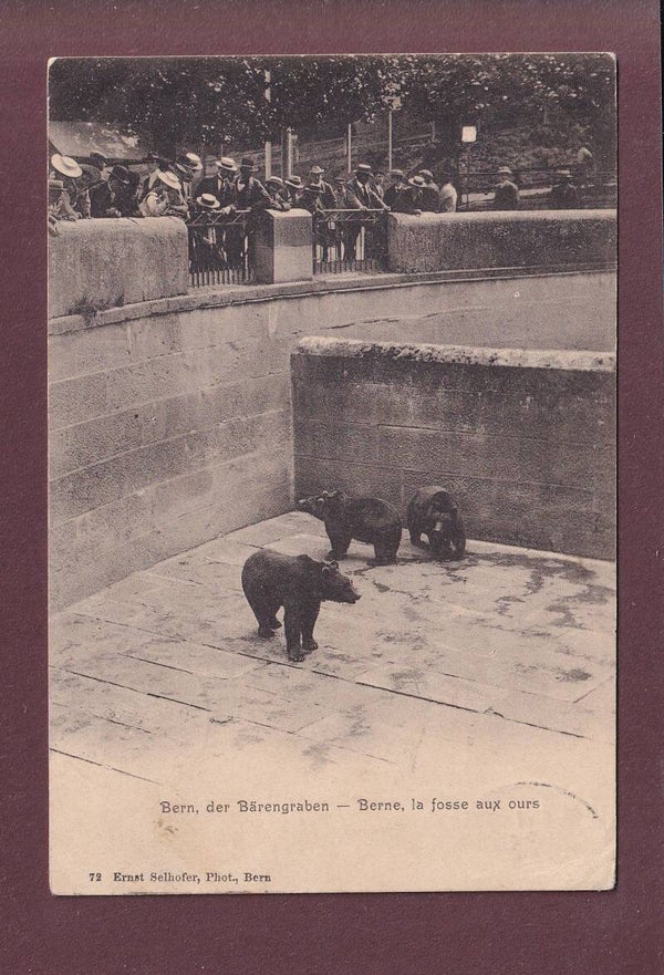 BERN - Bärengraben - 1905