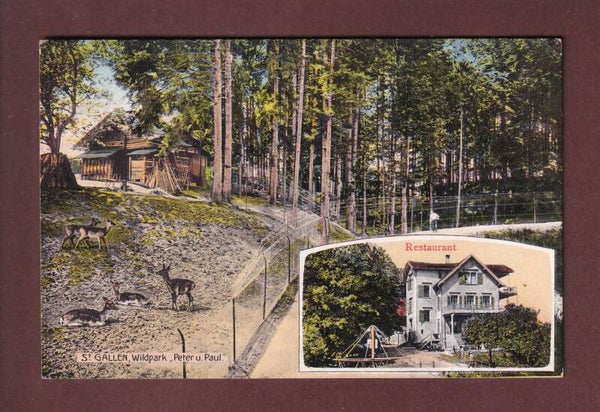 ST. GALLEN - Wildpark Peter & Paul - Restaurant - 1915