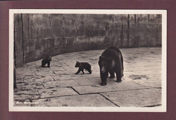 BERN - Bärengraben - 1932